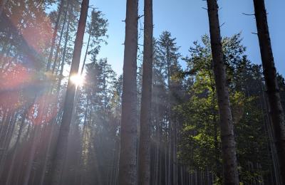 Wandertag der ersten Klassen