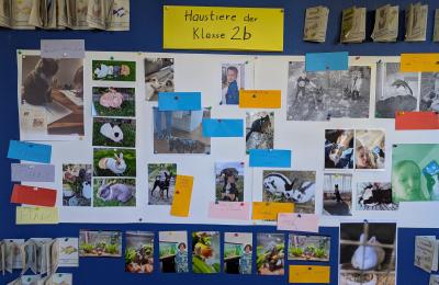 Haustiere in der 2b