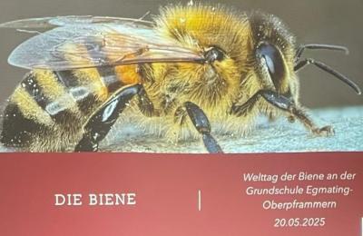 Welttag der Bienen